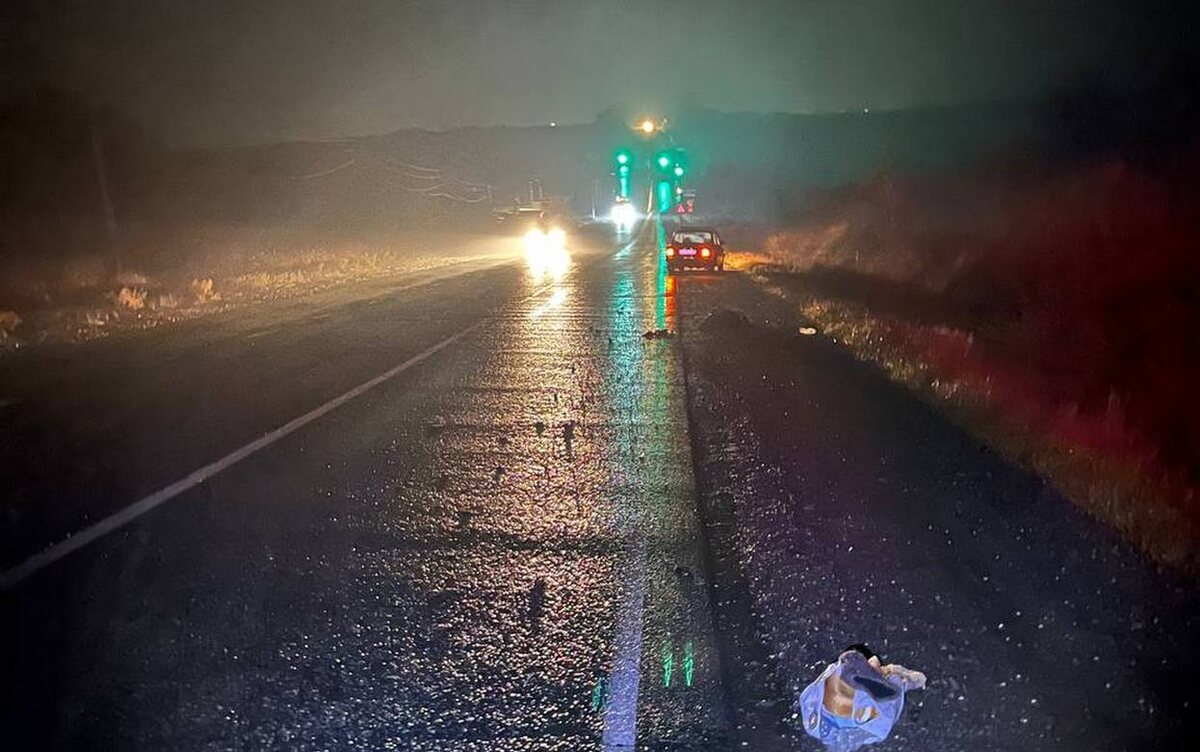    58-летнюю женщину сбили на трассе Воткинск – Чайковский