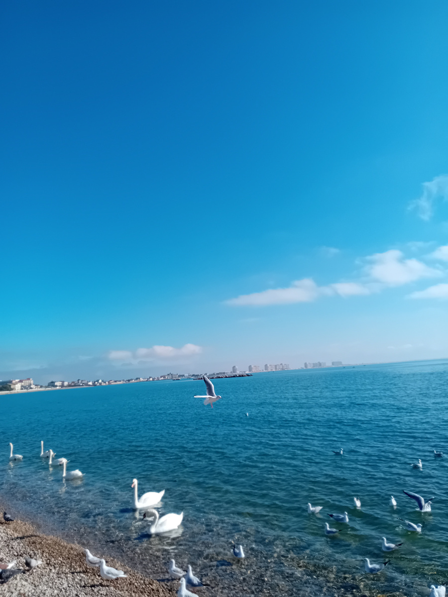 АВТОРСКОЕ  ФОТО.