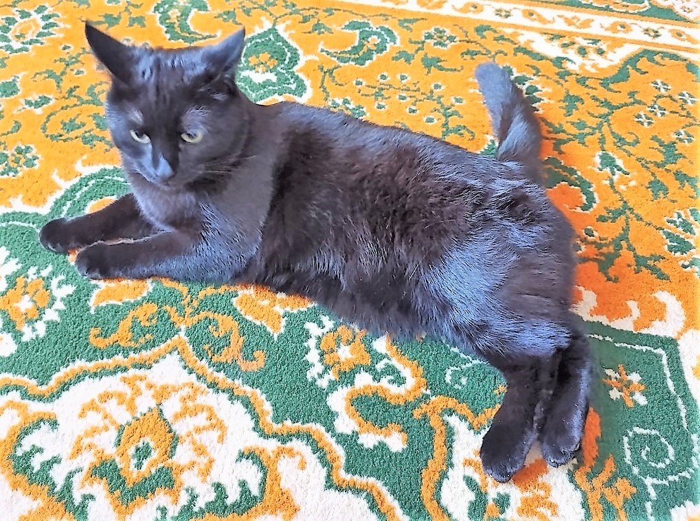 Благодарю за фото Марину АБРОЧНОВУ)