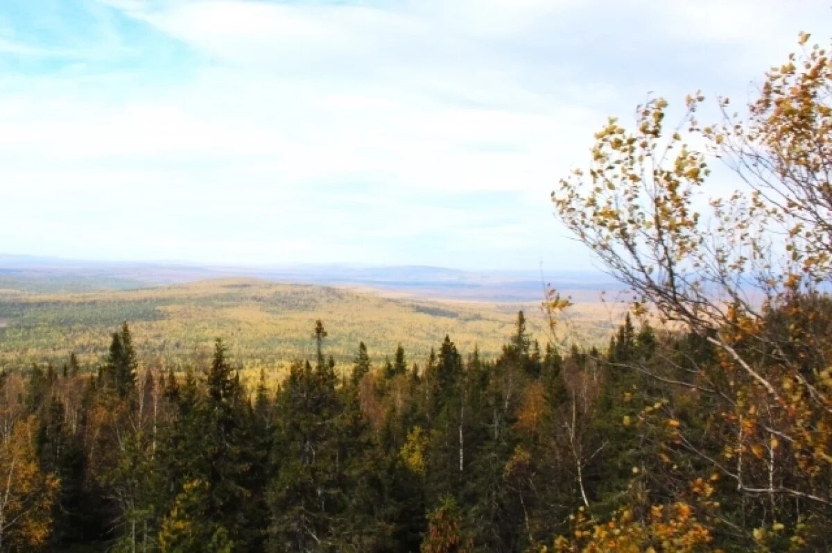    До +10 потеплеет в Свердловской области в конце октября