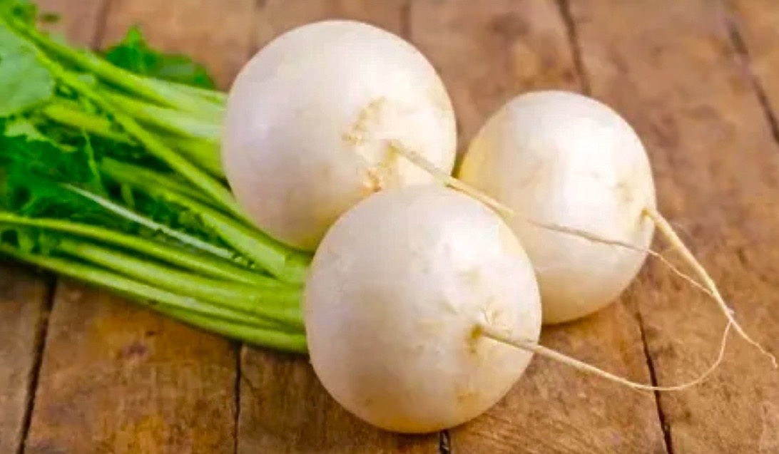 Белая редька (дайкон).