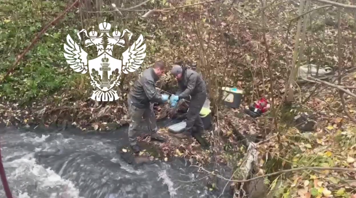 © Северо-Западное управление Росприроднадзора