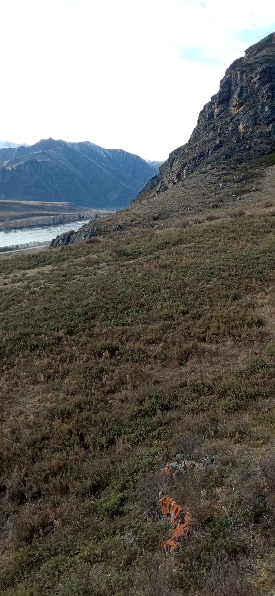 Вид на Катунь