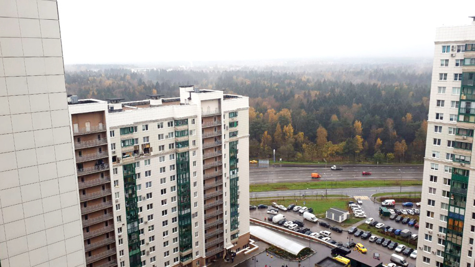    Денис Бочаров/NEWS.ru