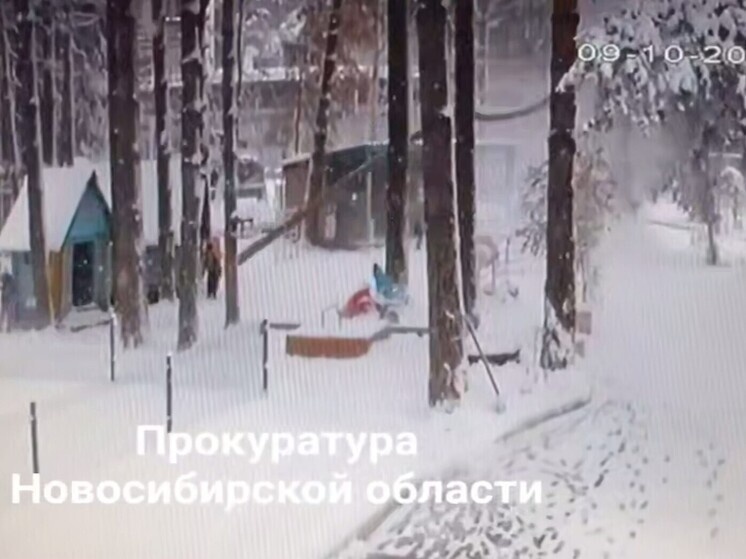     Фото: скриншот видео прокуратуры Новосибирской области