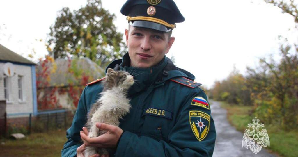 Курский спасатель Дмитрий Асеев спас спрятавшегося в колесе автомобиля котенка