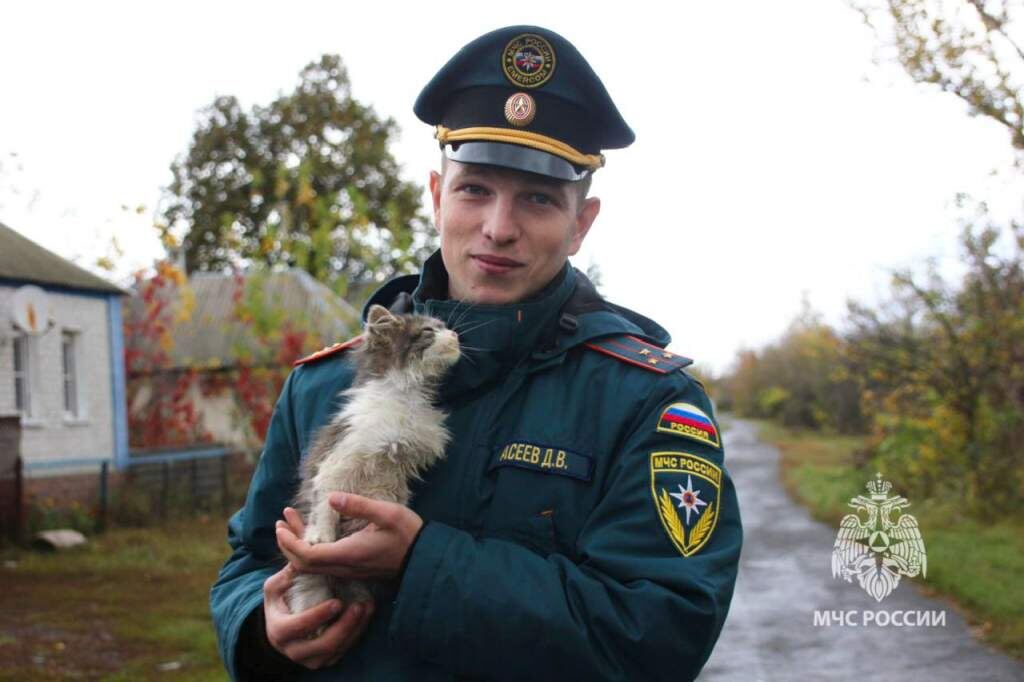    Фото: МЧС России по Курской области