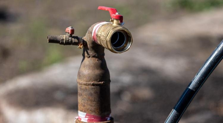 Фото: Алексей Дацковский (архив)