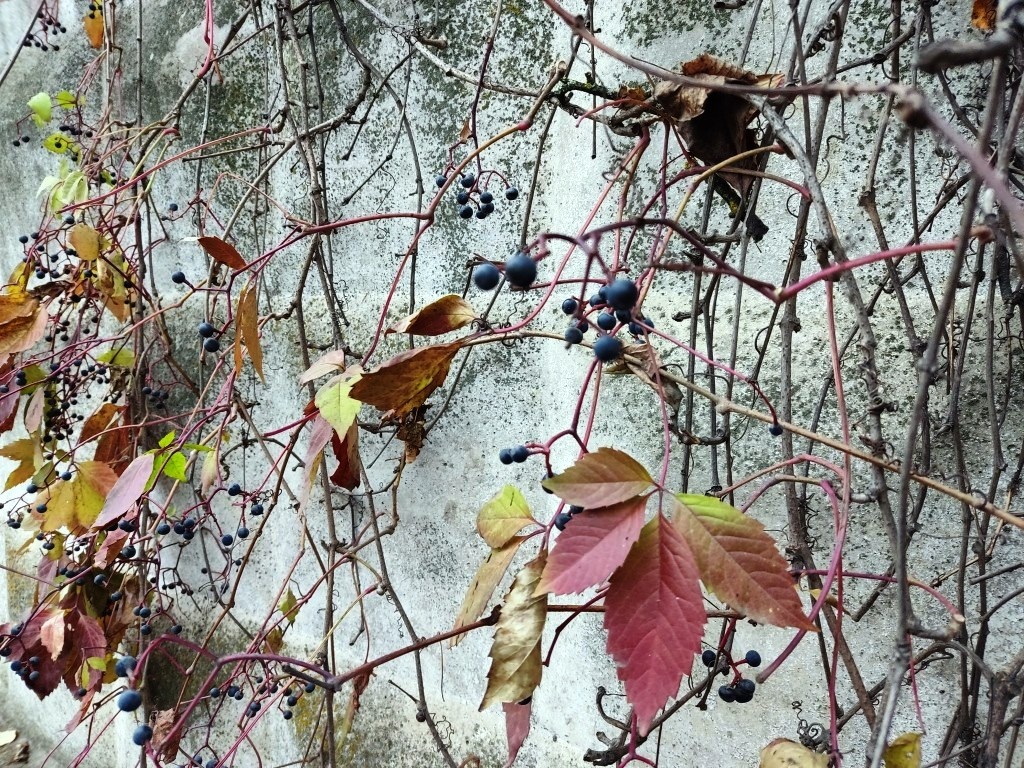 Красиво? Тревожно...