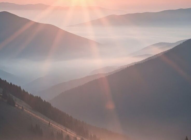 ЗРР, НРР, алалия. Причины, о которых еще не писала.