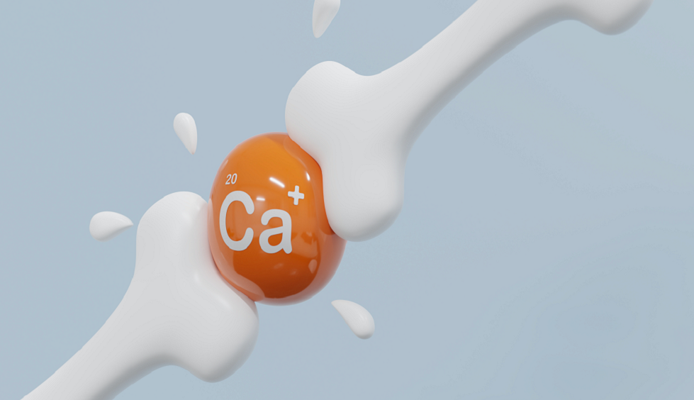 Статья носит ознакомительный характер и не является рекомендацией.