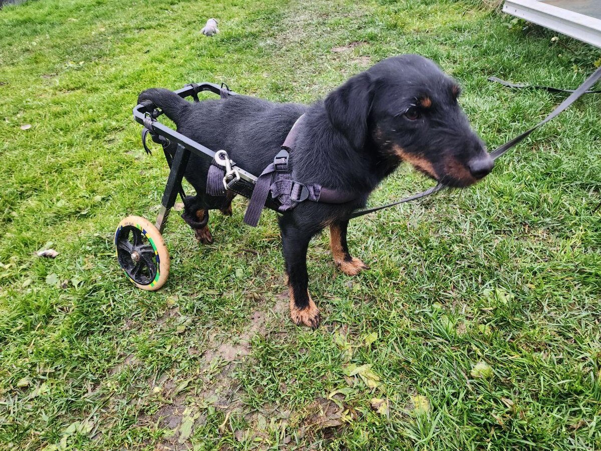     Фото: МедиаБанк Подмосковья/Ирина Кузова