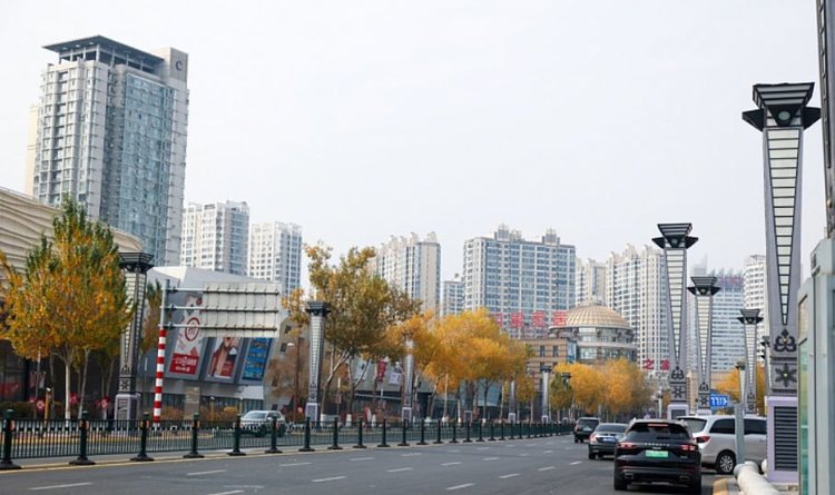    Фото: Правительство Приморского края