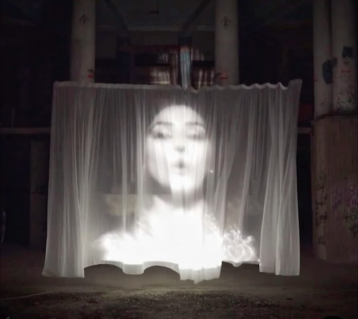    Проекция на белую полупрозрачную ткань / Фото: lecourt-clermont.org