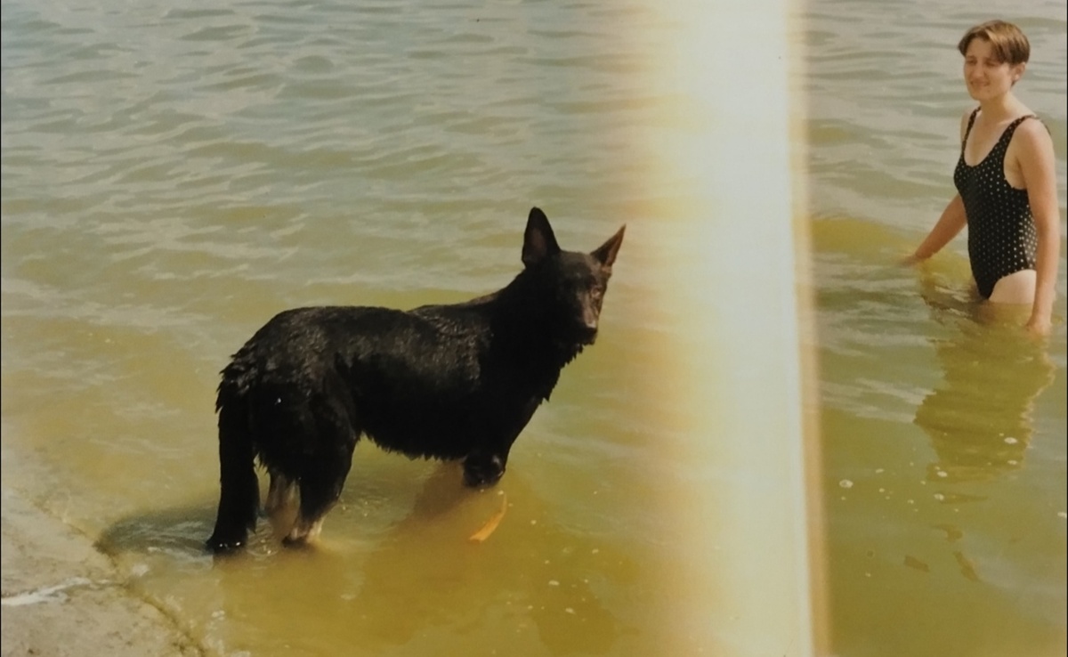 Даня и Олька. Настоящий джентльмен был, ай-кью зашкаливал. И подруга, хоть и ветврач, за человека его почитала всегда. Родословная не так чтобы с милю, но внушительная. Зато - любовь. Искреннейшая, безоглядная, всепобеждающая. Олькина любовь. Она, любовь то есть, и бездушную машину очеловечит, не то что пёса. 