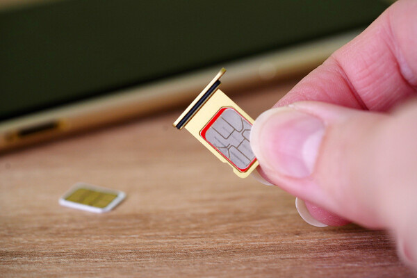 Shutterstock/FOTODOM  