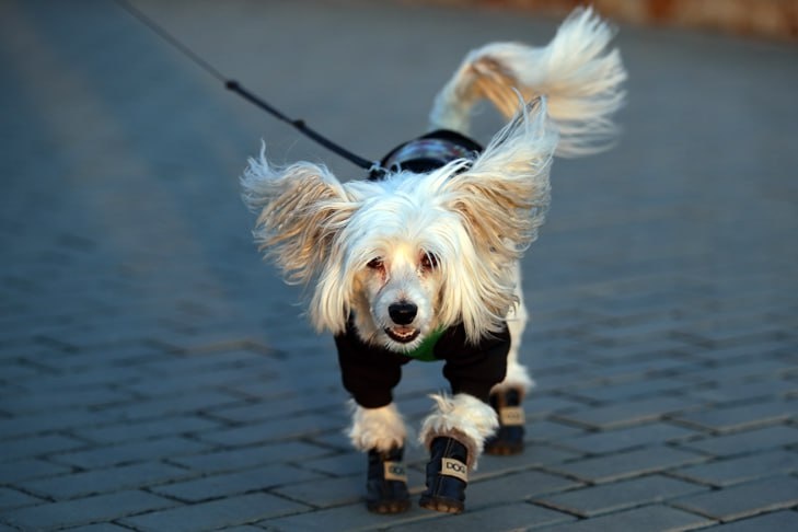    Фото Алины Кухмарь