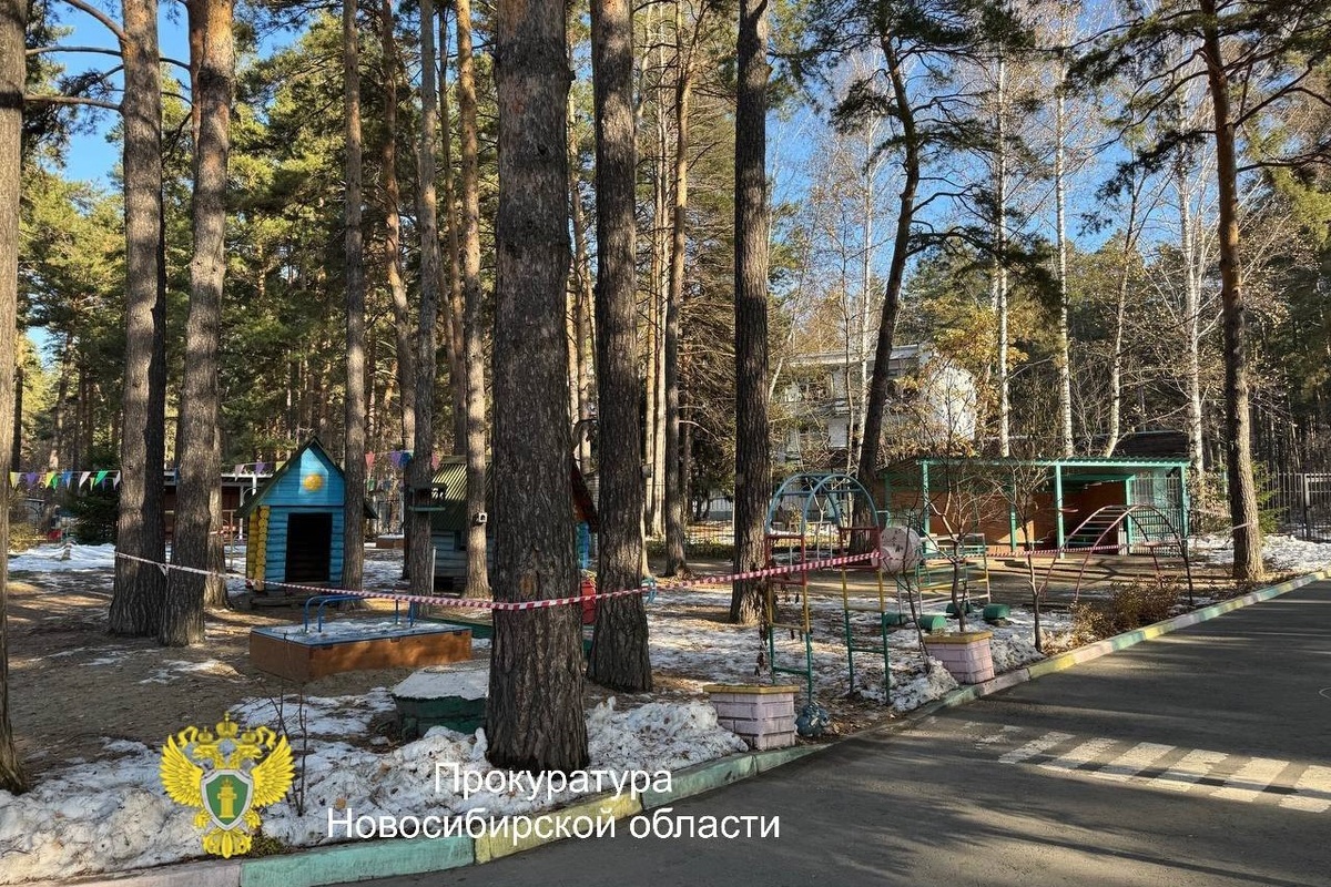    Фото: прокуратура НСО