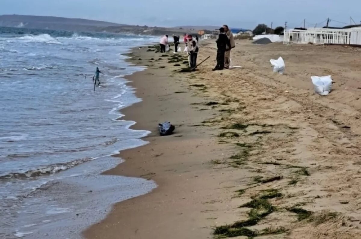    Спасатели и чиновники вышли на уборку мазута в Темрюкском районе