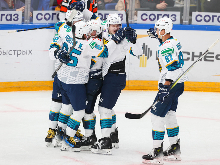     Фото: ХК "Сочи"