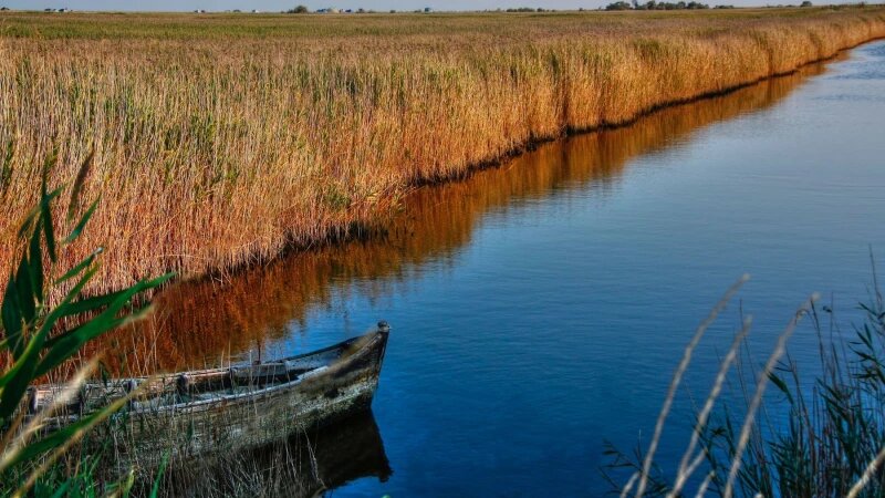     Лодка. Водоем. СС0