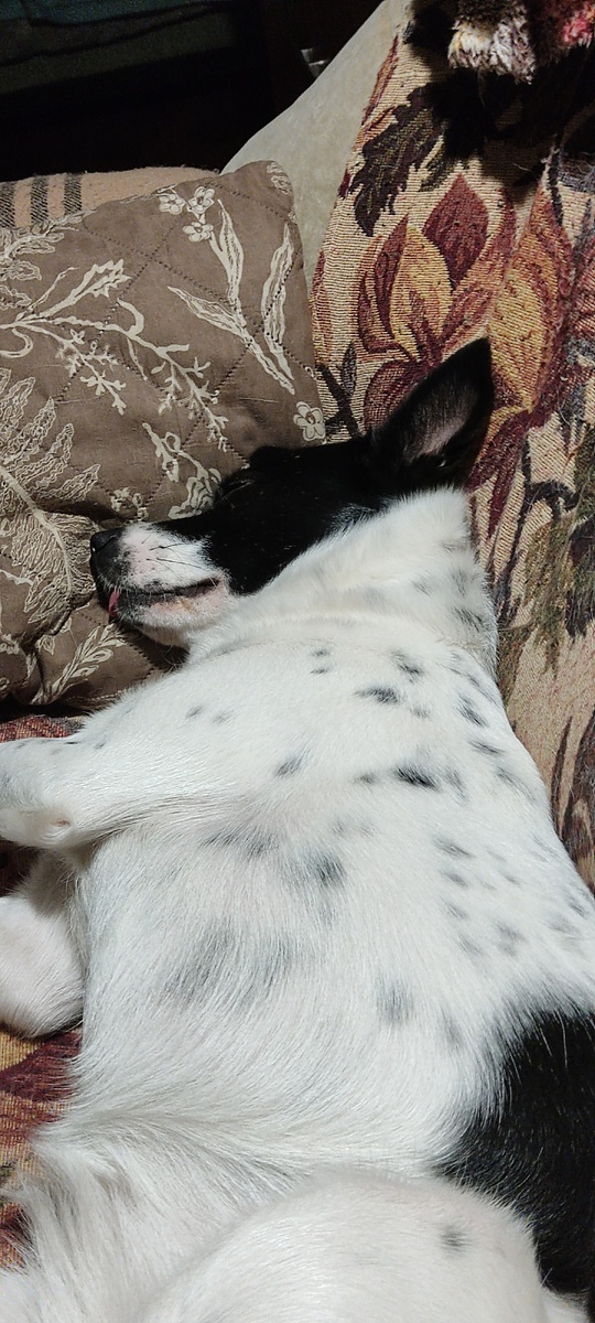 Высохла и сбросила плед, жарко стало