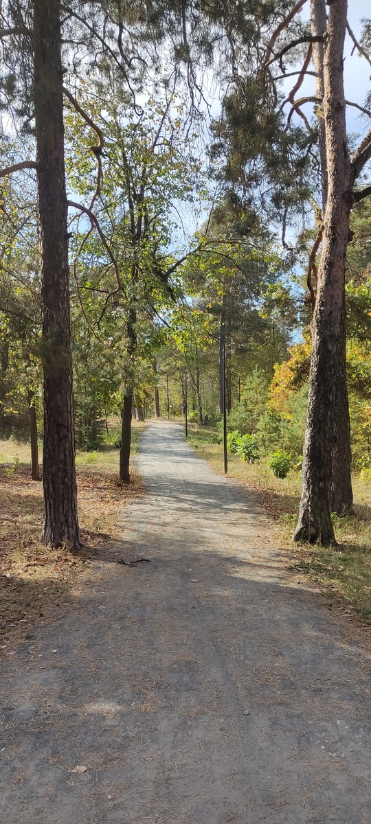 Старое фото для обложки 