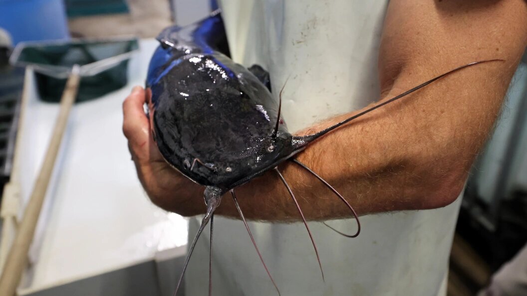    Bernd Wüstneck/Globallookpress