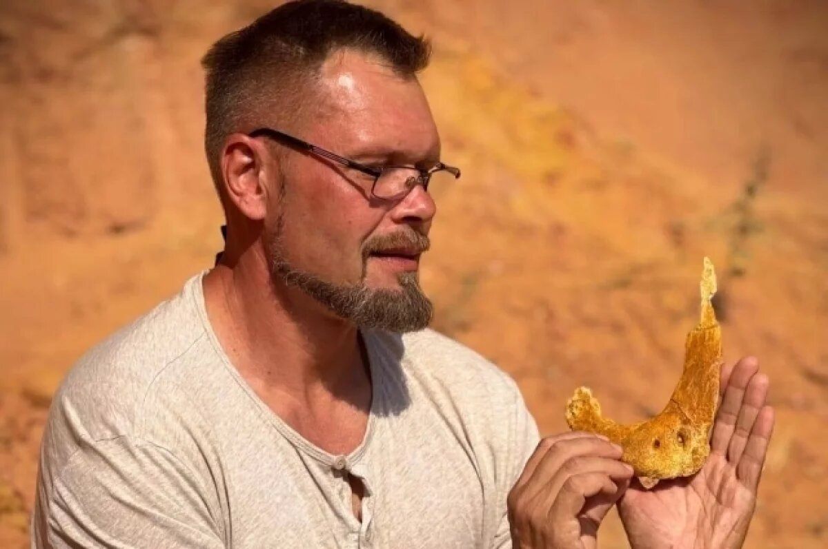    Кость мелового гиганта.