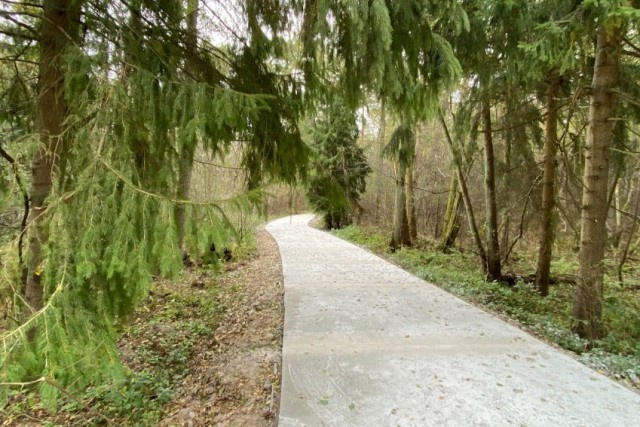   Фото: телеграм-канал нацпарка «Куршская коса»