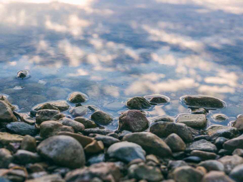    Река. Водоем. Источник: unsplash.com