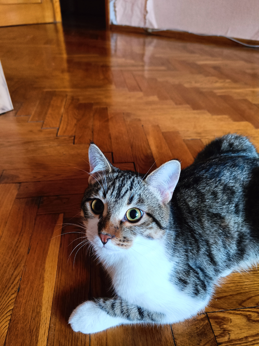 "Пойдем поедим?"