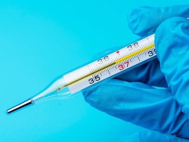    Фото: 123RF/grigoriy123