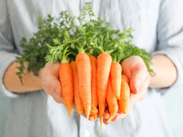    Фото: 123RF/atlasfoto