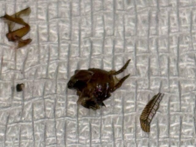    Фото: министерство здравоохранения Московской области/