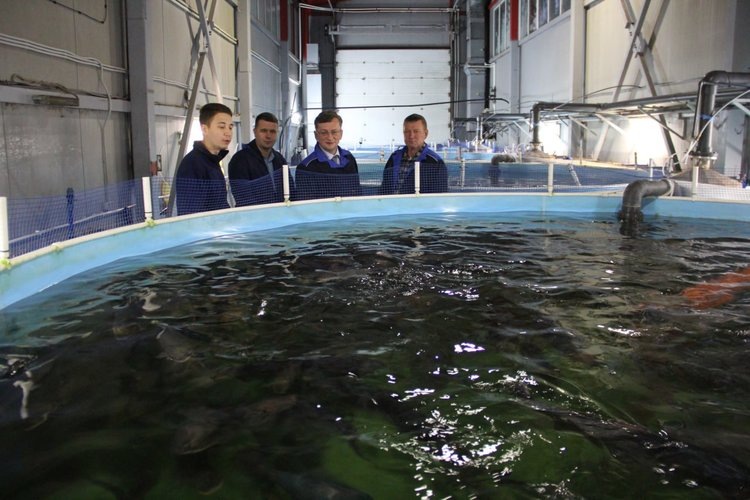    Фото: Пресс-служба Министерства сельского хозяйства Пензенской области