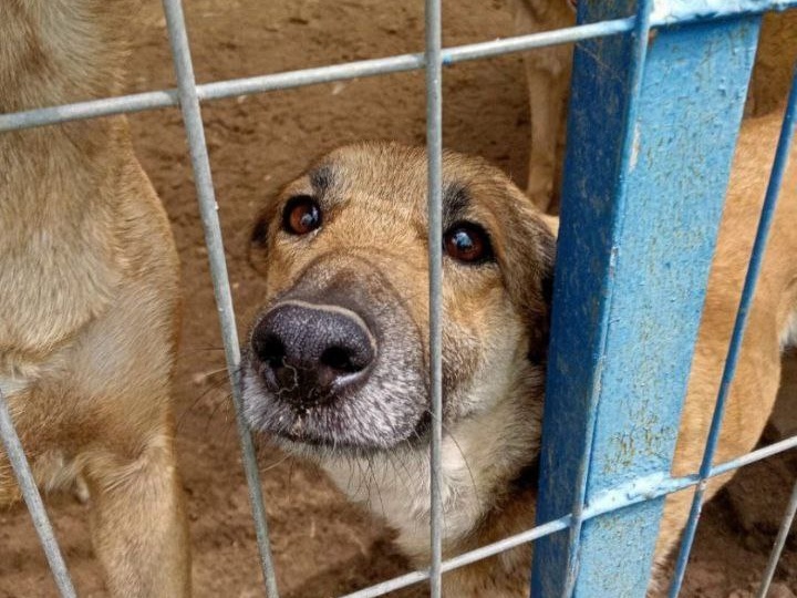 НА ВЫХОДНЫЕ ПРИЮТ ОСТАЕТСЯ БЕЗ ЕДЫ