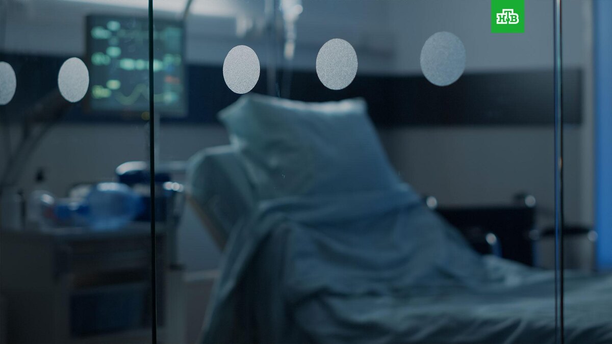    Фото: DC Studio / freepik.com