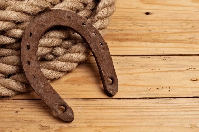    К чему снится подкова?