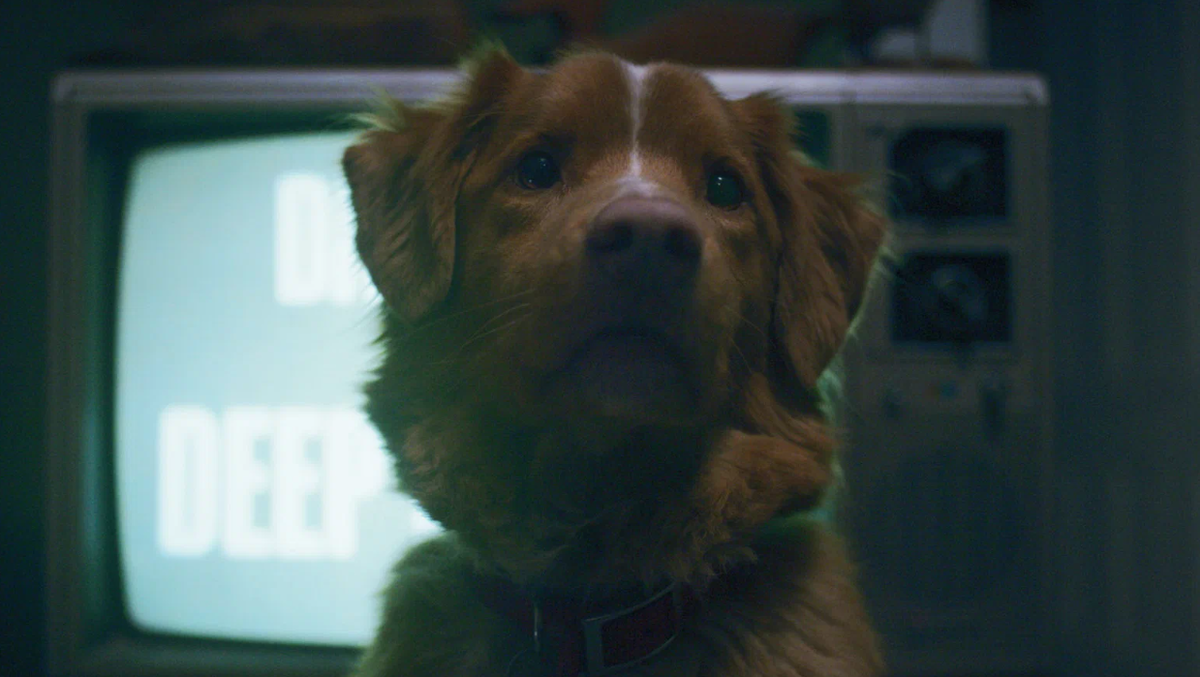 Кадр из фильма