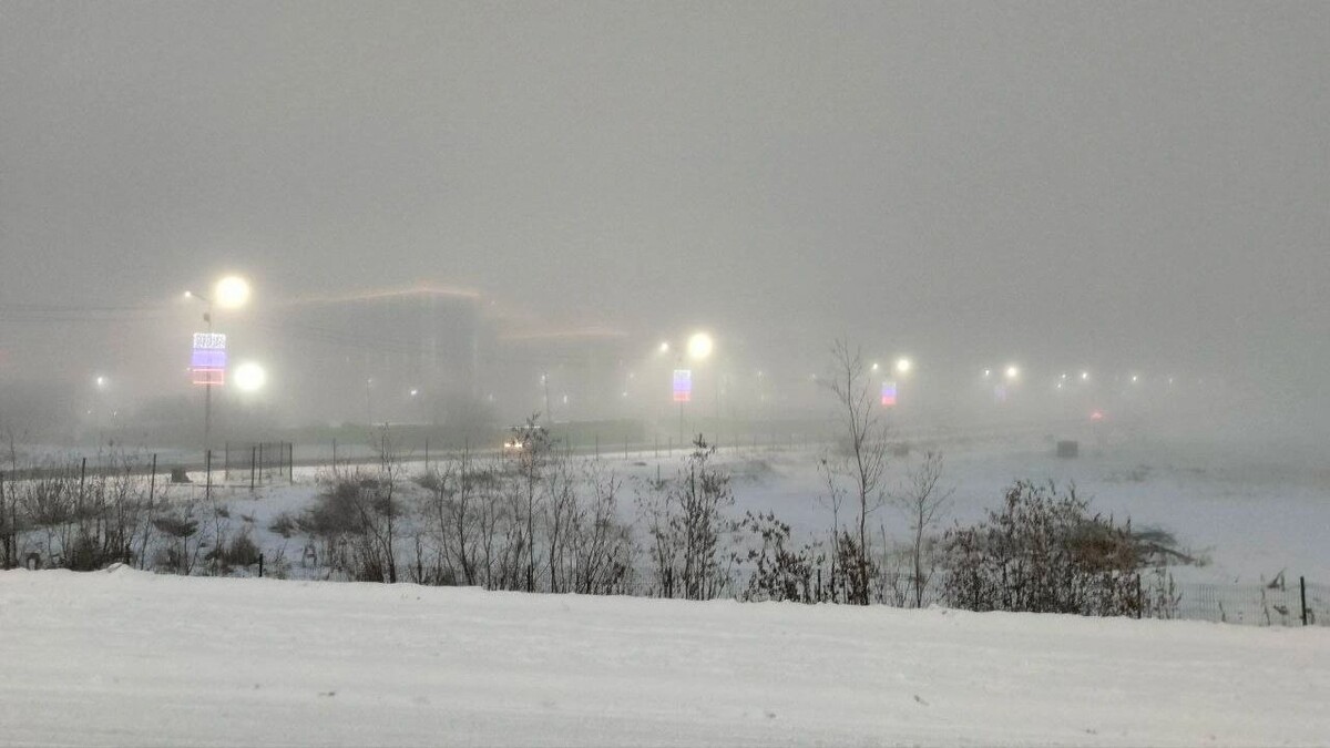    Фото: Владимир Ганчерко / «Ямал-Медиа»