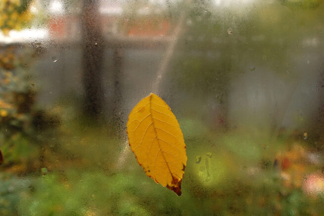    Фото: Михаил Ступин / Югополис