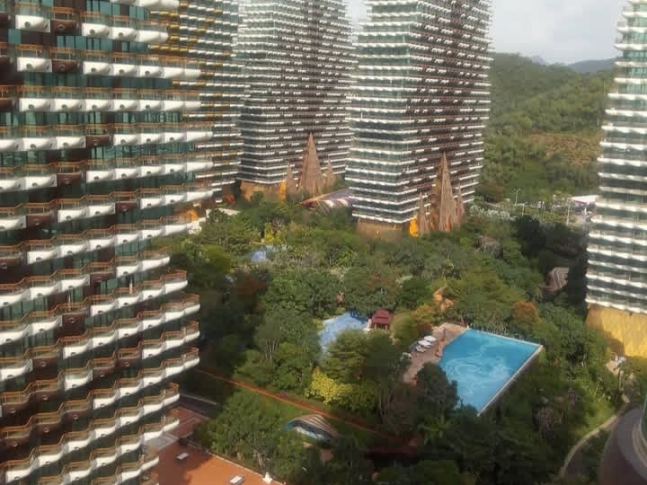 Остров Хайнань. Дома-деревья какими я их помню.