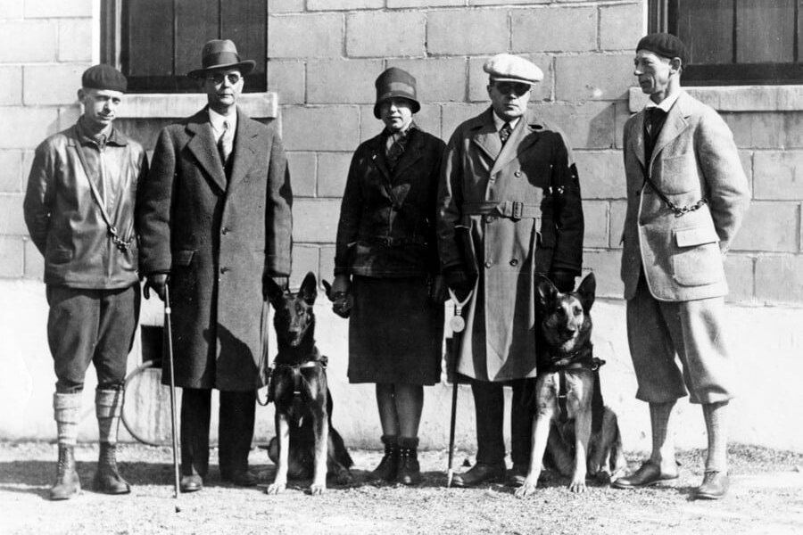     История первой школы собак-поводырей