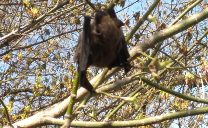    фото Курские известия