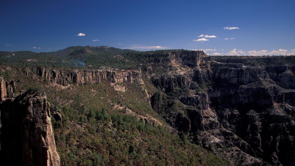 Фото: © www.globallookpress/Nik Wheeler 