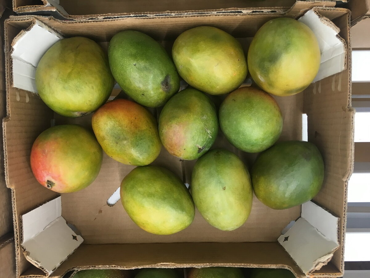 Вот таких ребят вы встретите в магазине сейчас