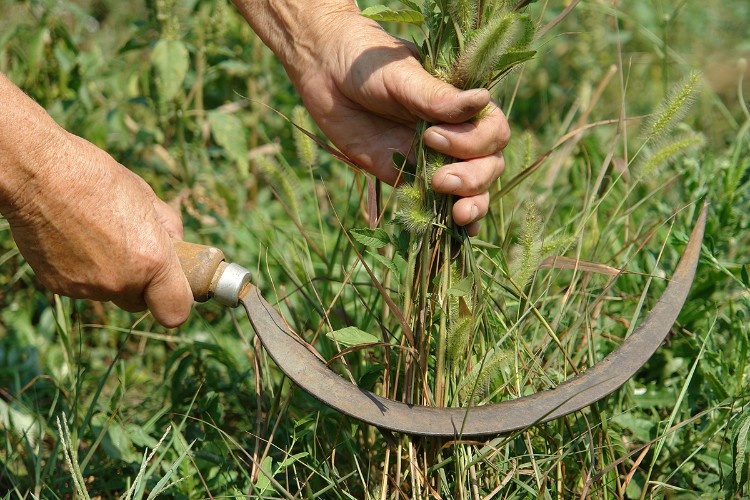    Фото: «Кубань Информ»