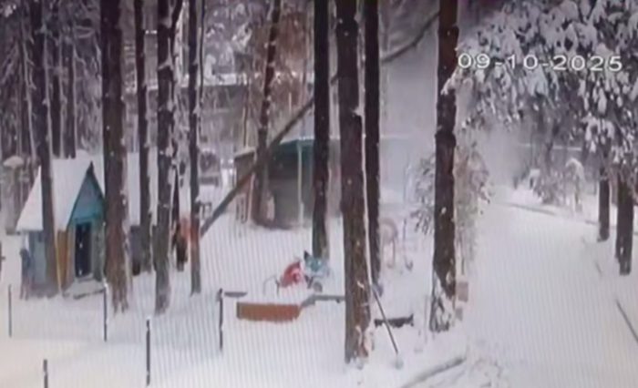 Кадр видео прокуратуры НСО.