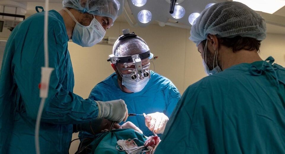    Пресс-служба Министерства здравоохранения Московской области